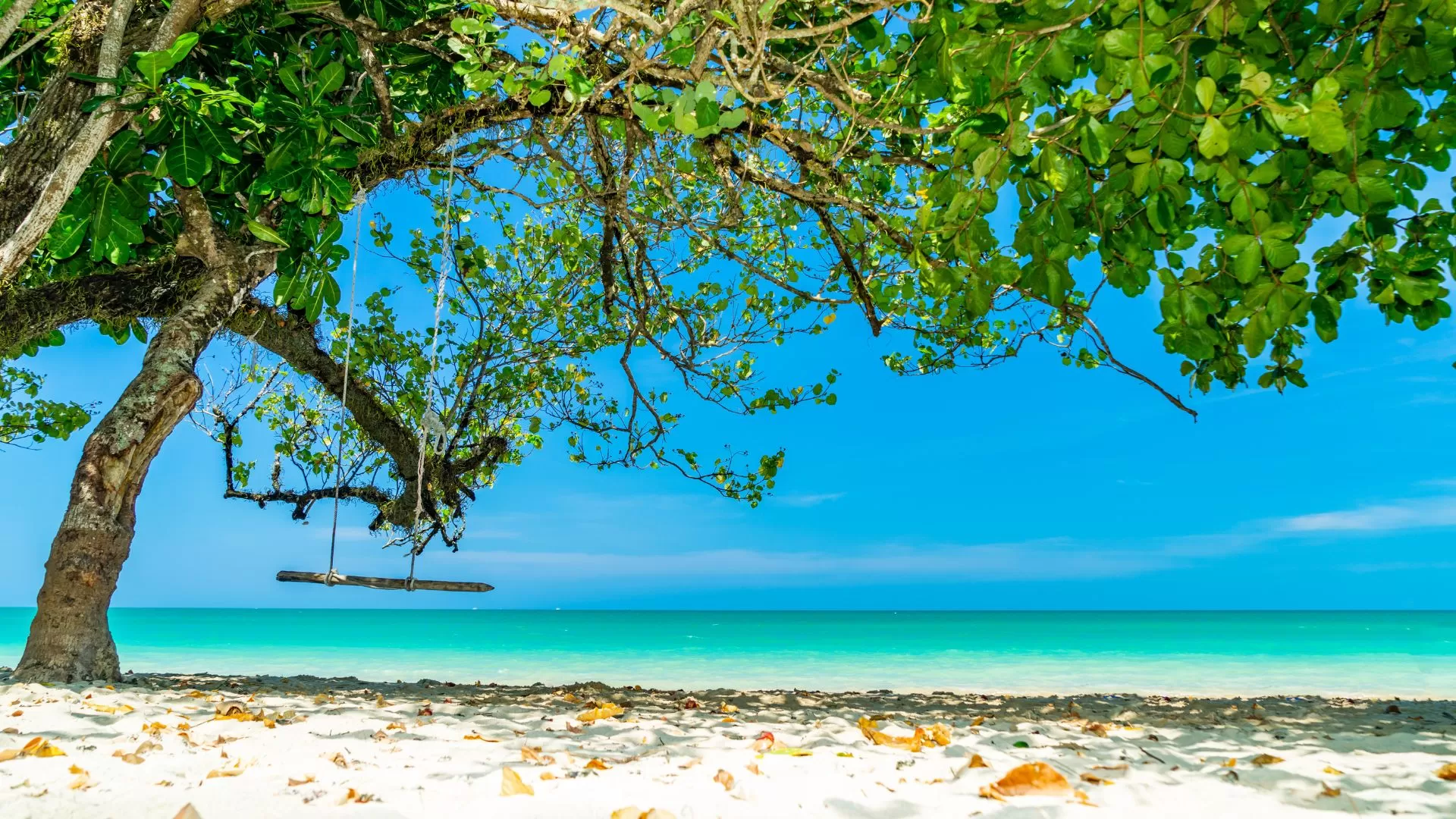 Plage de White Sand